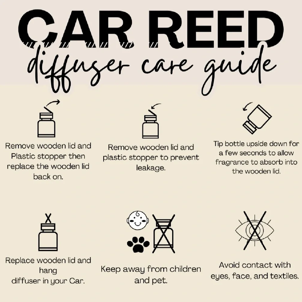 Car diffuser - Picture 4 of 4